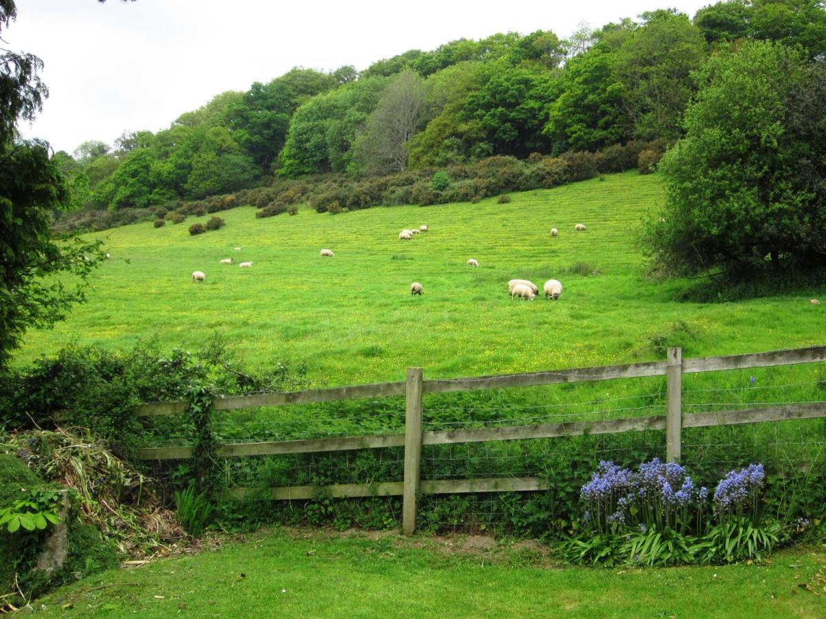 Higher Coombe Bovey Tracey Exterior photo